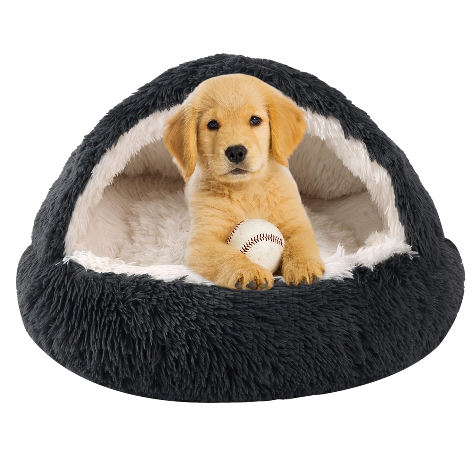 Puppy Bed