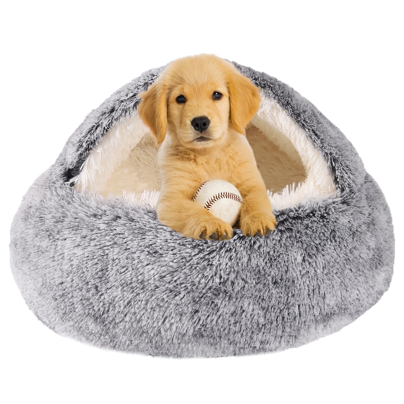 Puppy Bed