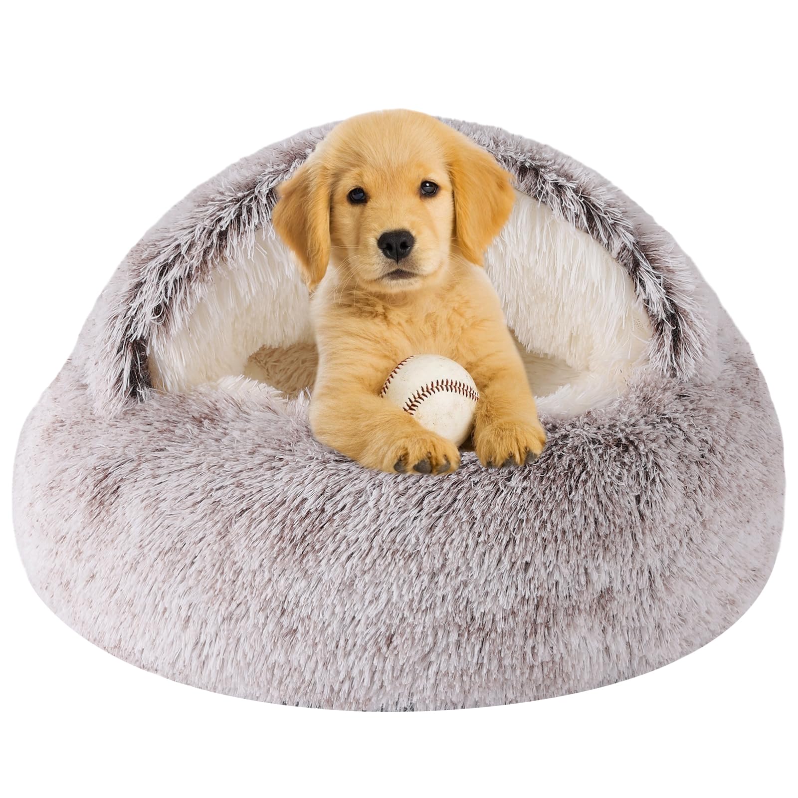 Puppy Bed