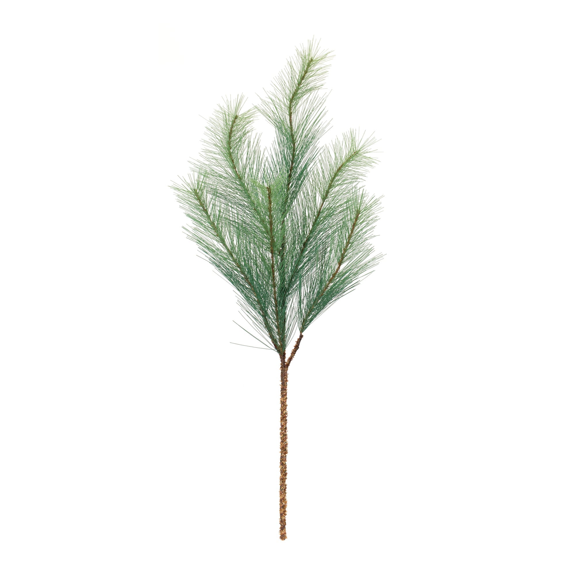 Long Needle Pine Spray (Set of 6)