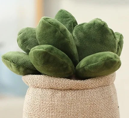 25/45cm Lifelike Succulent Plants Plush Toys Soft Doll Stuffed Green Potted Flowers Pillow Chair Cushion for Girls  Gift