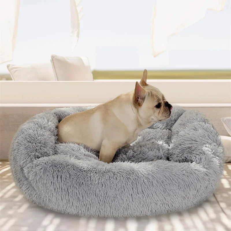 Super Soft Pet Bed