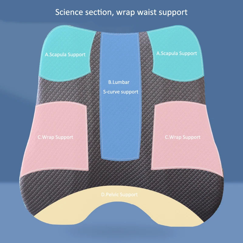 Back Support Pillow