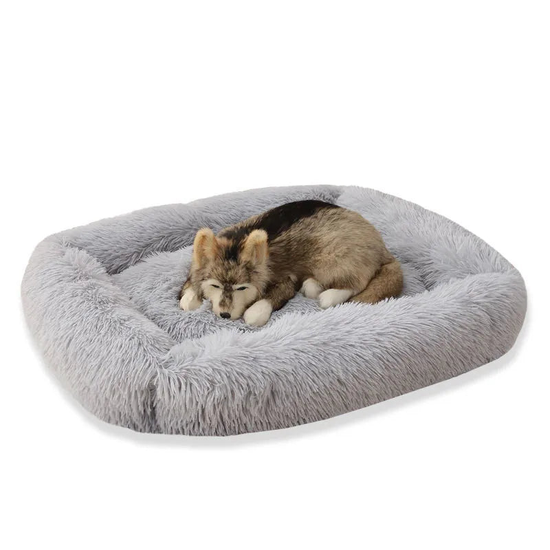 Super Soft Pet Bed