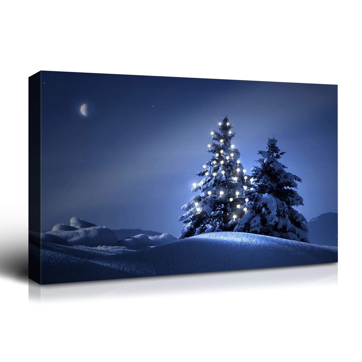 Framed Canvas Wall Art , Lighted Pine Tree at Night