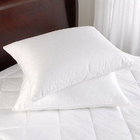 DOWNLITE Primaloft Down Alternative Pillow